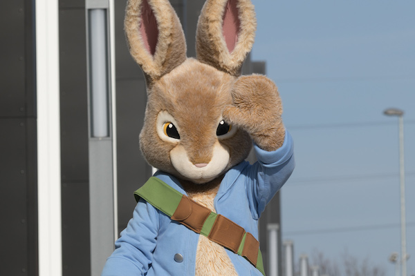 Peter Rabbit visits Northwich - So Counties