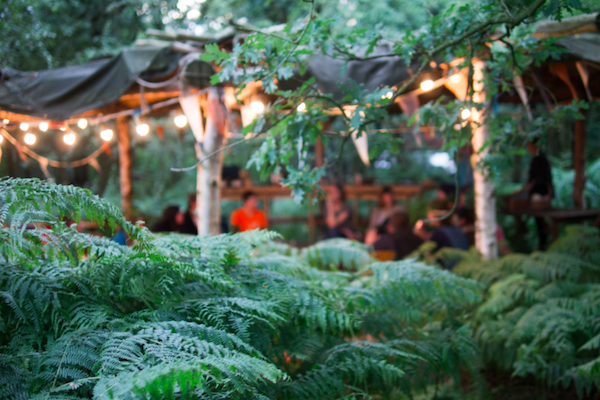 Wild Rumpus launches woodland events programme - So Counties